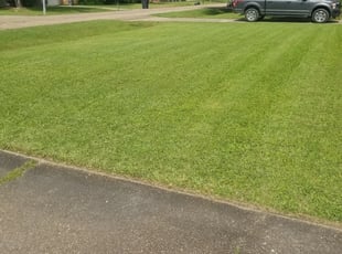 Get Lawn Care Services In Houston From Houston Yard Cutters
