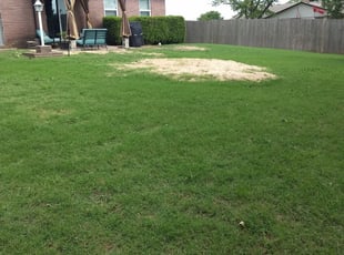 Winston Salem Nc Lawn Care Lawn Mowing From 19 Lawnstarter