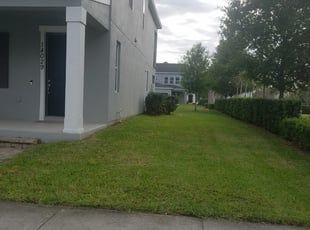 Winter Garden Fl Lawn Care Service Lawn Mowing From 19