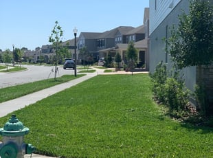 Winter Garden Fl Lawn Care Service Lawn Mowing From 19