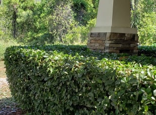 Winter Garden Fl Lawn Care Service Lawn Mowing From 19 Lawnstarter