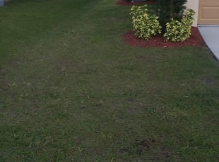 1 Winter Haven Fl Lawn Care Service Lawn Mowing From 19 Best