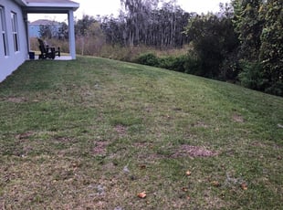 1 Winter Haven Fl Lawn Care Service Lawn Mowing From 19 Best