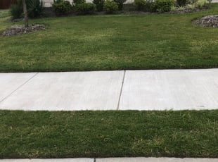 1 Winter Haven Fl Lawn Care Service Lawn Mowing From 19 Best
