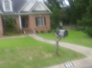 1 Winter Haven Fl Lawn Care Service Lawn Mowing From 19 Best