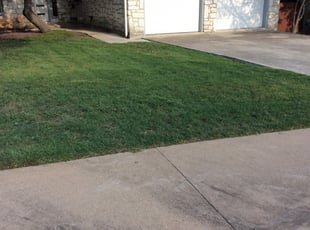 1 Winter Park Fl Lawn Care Service Lawn Mowing From 19 Best 2020
