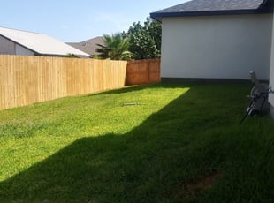1 Winter Park Fl Lawn Care Service Lawn Mowing From 19 Best 2020