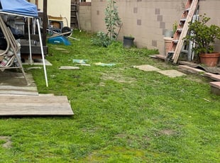 1 Winter Springs Fl Lawn Care Service Lawn Mowing From 19 Best 2020