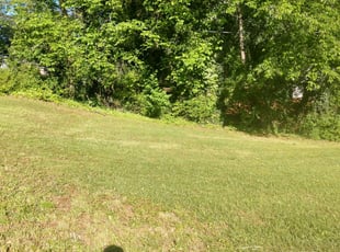 1 Wixom Mi Lawn Care Service Lawn Mowing From 19 Best 2020