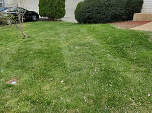 1 Woodbridge Va Lawn Care Service Lawn Mowing From 19 Best 2020