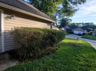 1 Woodbury Tn Lawn Care Service Lawn Mowing From 19 Best 2020