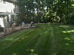 1 Woodbury Tn Lawn Care Service Lawn Mowing From 19 Best 2020