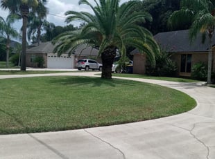 1 Woodstock Ga Lawn Care Service Lawn Mowing From 19 Best 2020