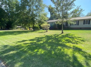 1 Woodstock Ga Lawn Care Service Lawn Mowing From 19 Best 2020