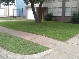 Yorktown Va Lawn Care Service Lawn Mowing From 19 Rated Best 2020