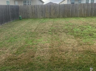 1 Yulee Fl Lawn Care Service Lawn Mowing From 19 Best 2020