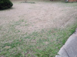 1 Zachary La Lawn Care Service Lawn Mowing From 19 Best 2020