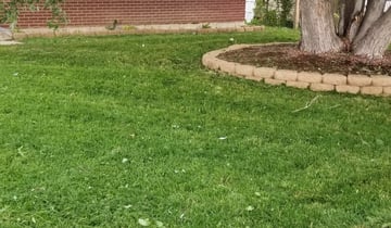 Colorado Springs, CO Lawn Care Service | Lawn Mowing from ...