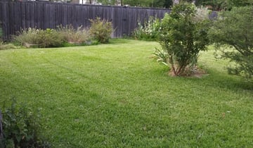 Dallas Tx Landscaping From 29 1 Landscapers Best Of 2020