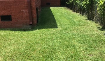 New Orleans La Landscaping From 29 1 Landscapers Best Of 2020