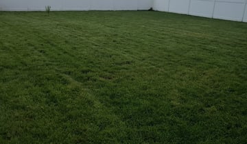 Pittsburgh Pa Landscaping From 29 1 Landscapers Best Of 2020