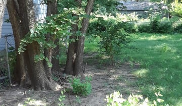 1 Wichita Ks Lawn Care Service Lawn Mowing From 19 Best 2020