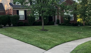 1 Winter Haven Fl Lawn Care Service Lawn Mowing From 19 Best