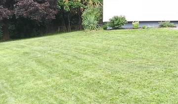 1 Albany Ny Lawn Care Service Lawn Mowing From 19 Best 2020