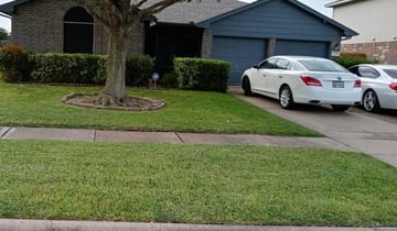 1 Amelia Oh Lawn Care Service Lawn Mowing From 19 Best 2020