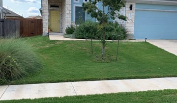 Annandale Va Lawn Care Service Lawn Mowing From 19 Rated Best 2020