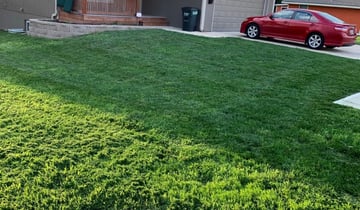 #1 Apollo Beach, FL Lawn Care Service | Lawn Mowing from ...