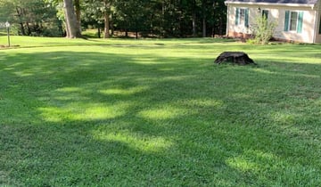 Asheboro Nc Lawn Care Service Lawn Mowing From 19 Rated Best 2020