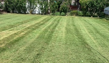 Asheville Nc Lawn Care Service Lawn Mowing From 19 Rated Best 2020