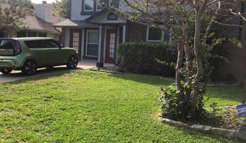 Austin Tx Lawn Care Service Lawn Mowing From 19 1 In 2020
