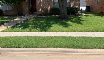 Austin Tx Landscaping From 29 1 Landscapers Best Of 2020