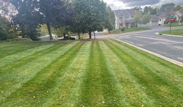 Austin Tx Landscaping From 29 1 Landscapers Best Of 2020