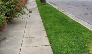 1 Bakersfield Ca Lawn Care Service Mowing From 19 Best 2020 - David Gardening Services Bakersfield Ca 1 Bakersfield Ca Lawn Care Service Mowing From 19 Best 2020 - David Gardening Services Bakersfield Ca