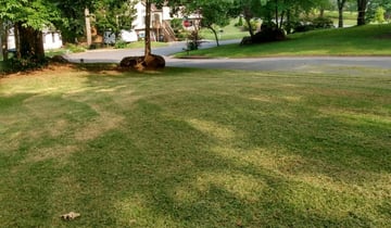 1 Bakersfield Ca Lawn Care Service Mowing From 19 Best 2020 - David Gardening Services Bakersfield Ca 1 Bakersfield Ca Lawn Care Service Mowing From 19 Best 2020 - David Gardening Services Bakersfield Ca