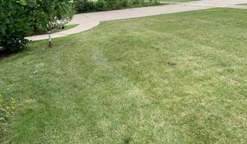 1 Bakersfield Ca Lawn Care Service Mowing From 19 Best 2020 - Best Gardening Services Bakersfield Ca 1 Bakersfield Ca Lawn Care Service Mowing From 19 Best 2020 - Best Gardening Services Bakersfield Ca