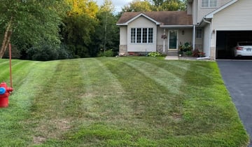 1 Bakersfield Ca Lawn Care Service Lawn Mowing From 19 Best 2020