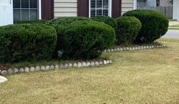 Ballwin Mo Lawn Care Service Lawn Mowing From 19 Rated Best 2020