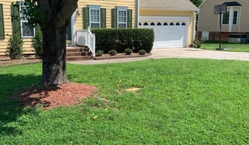 1 Baltimore Md Lawn Care Service Lawn Mowing From 19 Best 2020