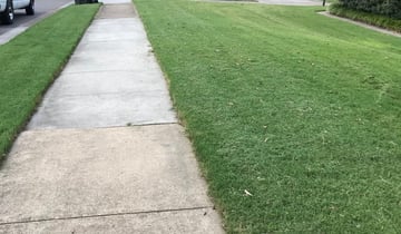 Bel Air Md Lawn Care Service Lawn Mowing From 19 Rated Best 2020
