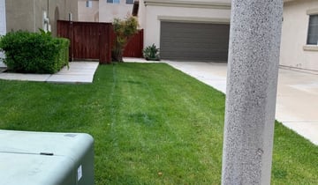 1 Belleville Il Lawn Care Service Lawn Mowing From 19 Best 2020