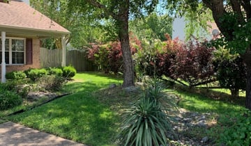 #1 Belmont, NC Lawn Care Service | Lawn Mowing from $19 ...
