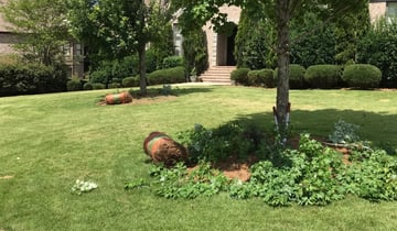 Birmingham Al Lawn Care Service Lawn Mowing From 19 Rated Best 2020
