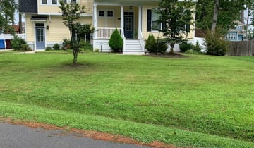 1 Boise City Id Lawn Care Service Lawn Mowing From 19 Best 2020