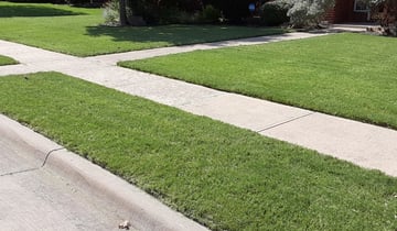 Boynton Beach Fl Lawn Care Service Lawn Mowing From 19 Rated Best 2020