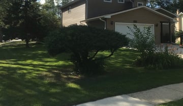 Buffalo Ny Lawn Care Service Lawn Mowing From 19 Rated Best 2020