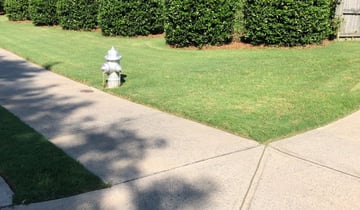 Buford Ga Lawn Care Service Lawn Mowing From 19 Rated Best 2020